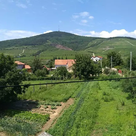 Vendégház Hercz