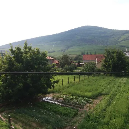 Hercz Vendégház *